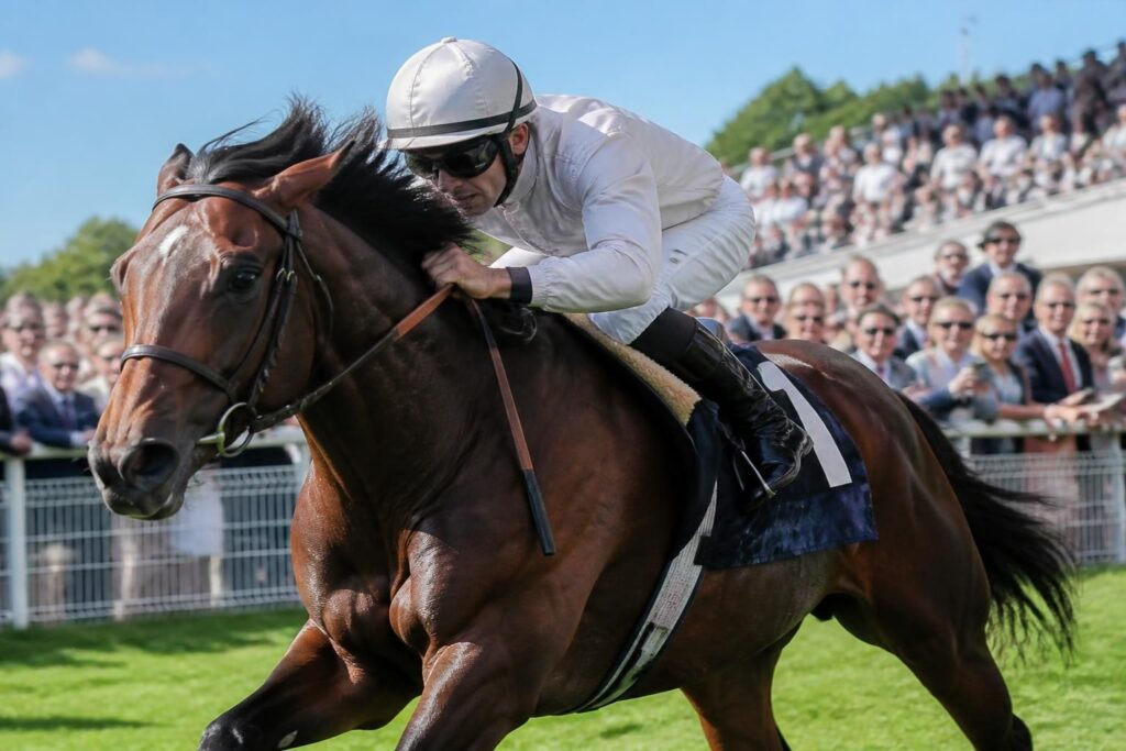 découvrez pourquoi les prix jacques le marois à deauville passionnent les amateurs de courses hippiques, alliant prestige, tradition et performances équestres exceptionnelles.