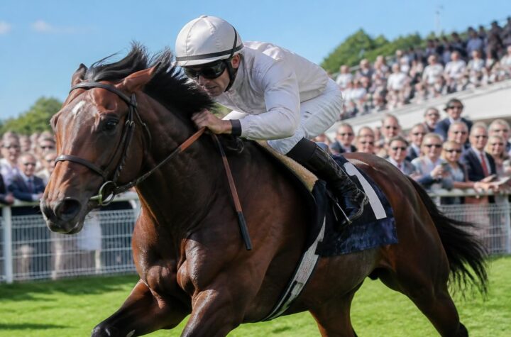 découvrez pourquoi les prix jacques le marois à deauville passionnent les amateurs de courses hippiques, alliant prestige, tradition et performances équestres exceptionnelles.